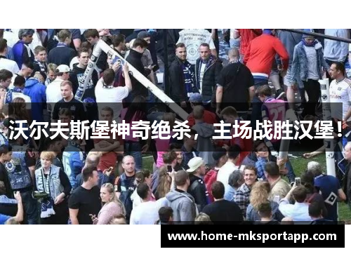 沃尔夫斯堡神奇绝杀，主场战胜汉堡！