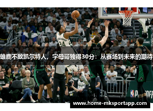 雄鹿不敌凯尔特人，字母哥独得30分：从赛场到未来的期待